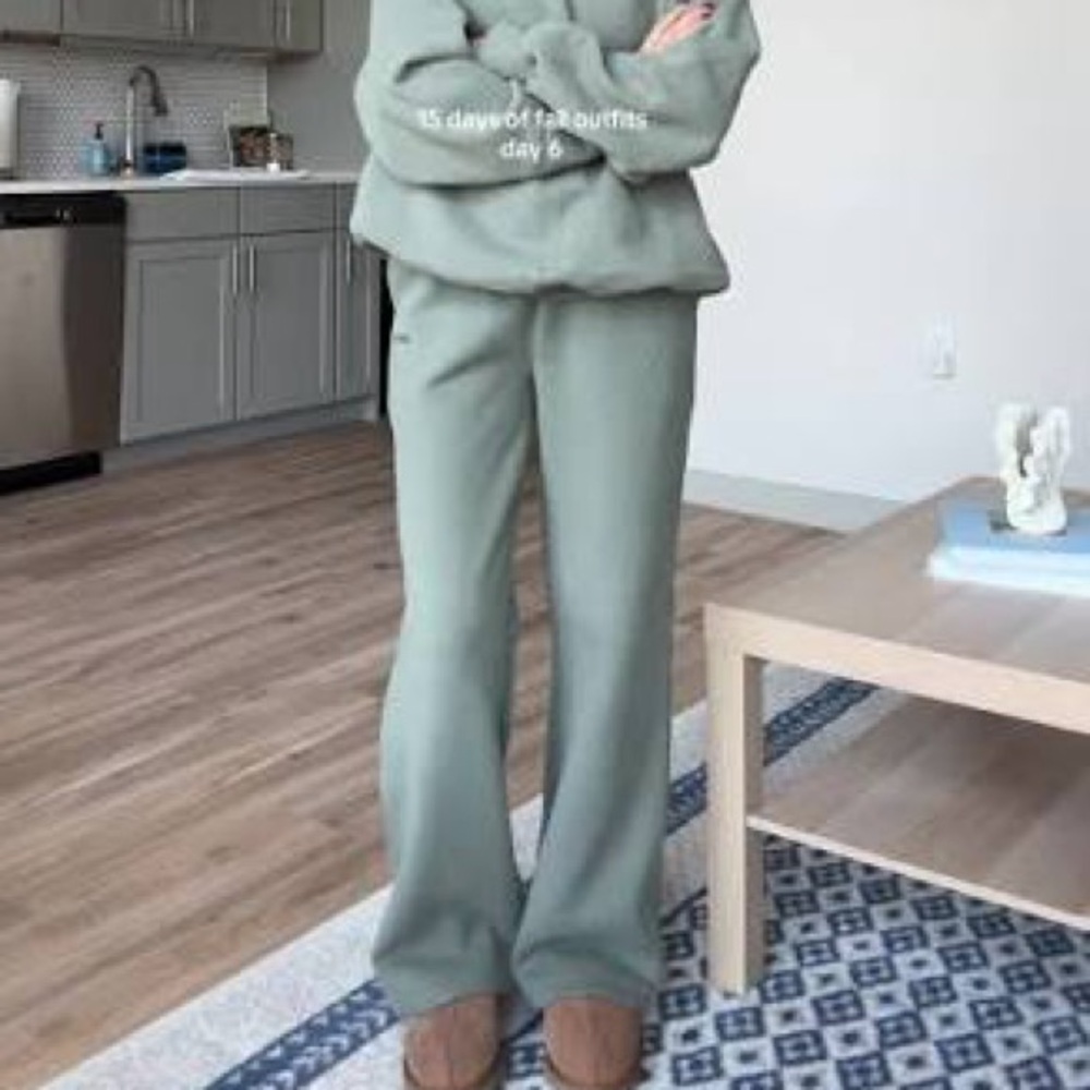 Aritzia/TNA Smoky Sage Sweatfleece Pants Size Large